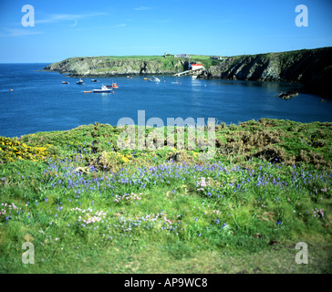 St Justinians Rettungsstation und Küste in der Nähe von St, die David s Pembrokeshire west wales Stockfoto