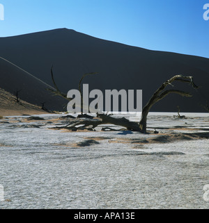 Die größte Sanddüne der Welt am Sossusvlei Namibia