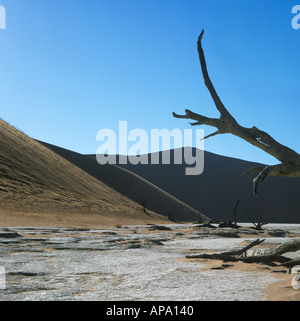 Die größte Sanddüne der Welt am Sossusvlei Namibia