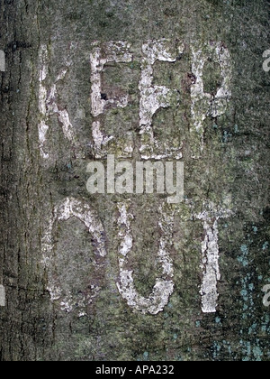 Zeichen auf Wald Baum gemalt Stockfoto