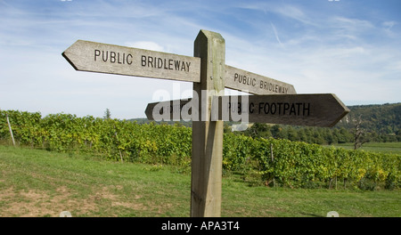 Öffentlichen Fußweg holzschild an Denbies Vineyard, Surrey, England Stockfoto