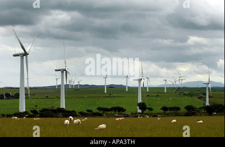 EIN WINDPARK IN FELDERN AUF ANGLESEY NORTH WALES, GROßE BRITAIN.UK Stockfoto