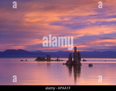 Feurige Morgendämmerung über Tuffstein Türme in Mono Lake Kalifornien Stockfoto