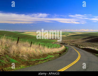 Eine Straße schlängelt sich zwischen grünen Hügeln in Nordkalifornien Stockfoto