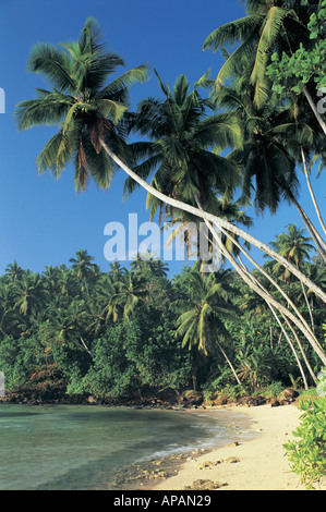 Strand Sri Lanka Asien Stockfoto