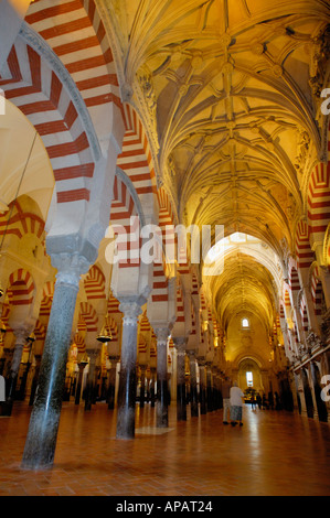 Decken im Inneren der Catedral de Cordoba, einer ehemaligen mittelalterlichen Moschee, Córdoba, Andalusien, Spanien. Stockfoto