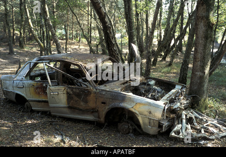 Gedumpten Auto auf er Heathfield Gelände des speziellen wissenschaftlichen Interesses Bovey Tracey Devon England Stockfoto