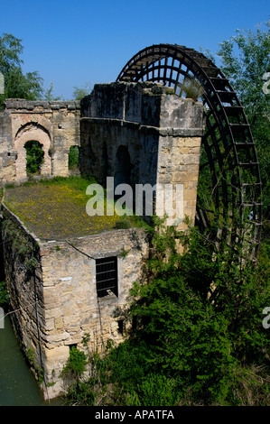 Spanien Andalusien Córdoba die Noria Wasserrad in der Nähe von alte römische Brücke am Fluss Guadalquivir Stockfoto