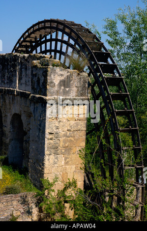 Spanien Andalusien Córdoba die Noria Wasserrad in der Nähe von alte römische Brücke am Fluss Guadalquivir Stockfoto