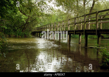 Brücke über den Fluss Test bei Wherwell südlichen Hampshire England UK Stockfoto