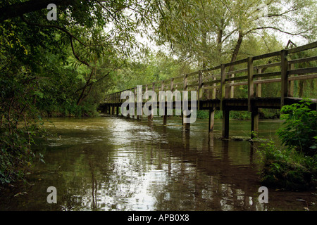 Brücke über den Fluss Test bei Wherwell südlichen Hampshire England UK Stockfoto