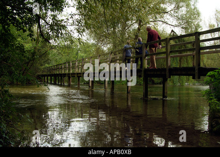 Brücke über den Fluss Test bei Wherwell südlichen Hampshire England UK Stockfoto