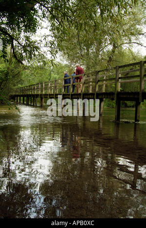 Brücke über den Fluss Test bei Wherwell südlichen Hampshire England UK Stockfoto