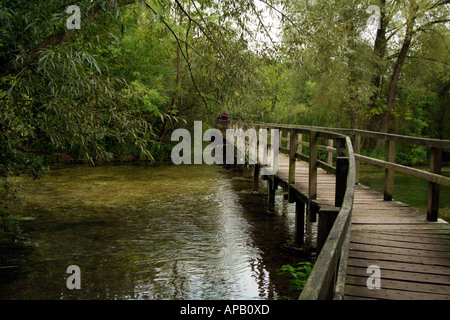 Brücke über den Fluss Test bei Wherwell südlichen Hampshire England UK Stockfoto