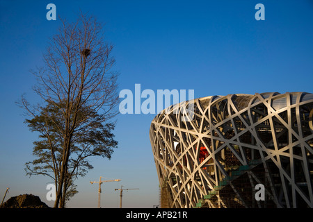 Beijing 2008 Olympische Spiele Hauptstadion Vogelnest Stockfoto