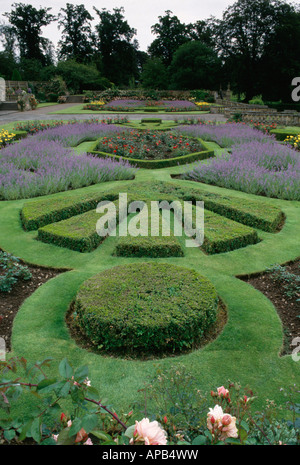 Box und Lavendel Grenzen im Garten im Mellerstain House in den schottischen Borders abgeschnitten Stockfoto