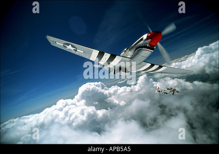 P51 Mustang Flugzeug Stockfoto