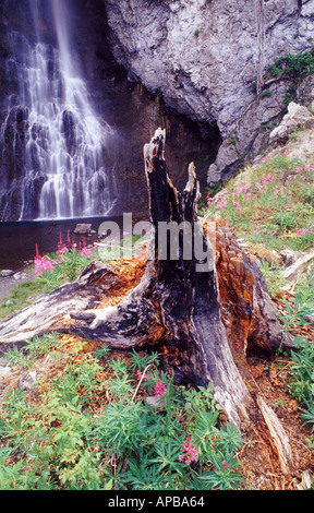 Fairy Falls Yellowstone Nationalpark Wyoming USA Stockfoto