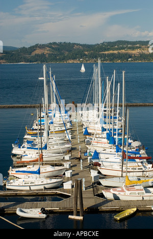IDAHO COEUR D ALENE LAKE SEGELBOOTE VOR ANKER IM PANHANDLE YACHTCLUB IN DER NÄHE VON ARROWPOINT Stockfoto