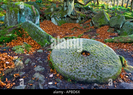 Nahaufnahme der Mühlstein und Bäume am Padley Schlucht in der Nähe von Hathersage im Peak District Nationalpark Derbyshire England UK Stockfoto