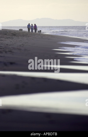 Familiengruppe loslaufende Hunde entlang der Strand weißen Felsen Strand Portrush County Antrim-Nordirland Stockfoto