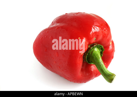 Paprika auf weißem Hintergrund Stockfoto