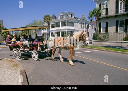 Eine Pferdekutsche bringt Besucher auf einen Rundgang durch den historischen Bezirk von Charleston Stockfoto