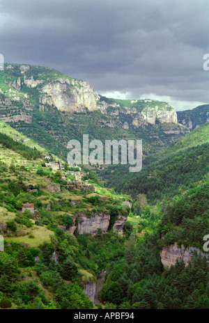 Die Gorges du Tarn in Südfrankreich Languedoc Stockfoto