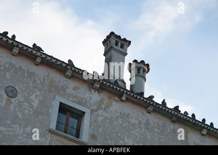 Einige Tauben auf dem Dach des Antivari-Kechler Palastes in Udine (XIX. Jh.) Stockfoto