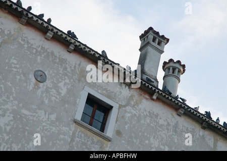 Einige Tauben auf dem Dach des Antivari-Kechler Palastes in Udine (XIX. Jh.) Stockfoto