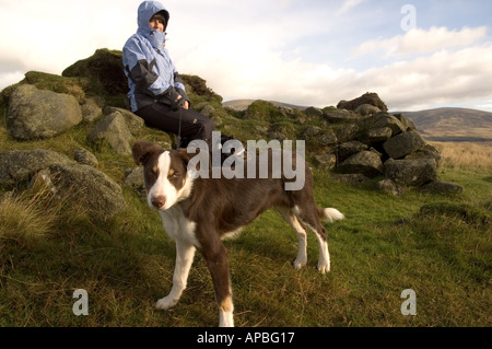 Wanderer mit Hund auf der Minister s Straße von Glen Prosen nach Glen Clova Angus Glens Schottland Stockfoto