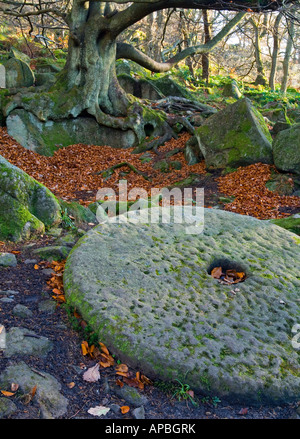 Nahaufnahme der Mühlstein und Bäume am Padley Schlucht in der Nähe von Hathersage im Peak District Nationalpark Derbyshire England UK Stockfoto