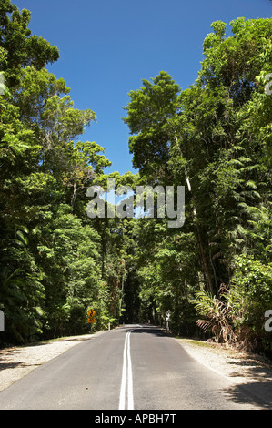 Straße durch Daintree Nationalpark World Heritage Area Nord-Queensland Australien Stockfoto