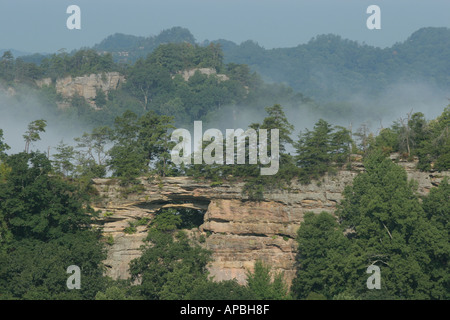 Red River gorge Kentucky double Arch Rock Brücke Rock Cliff Sandstein Erosion Daniel Boone National Forest Appalachian Mountain Stockfoto