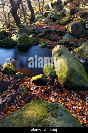 Nahaufnahme der Felsen im Burbage Brook Padley Gorge nahe Hathersage im Peak District Nationalpark Derbyshire England UK Stockfoto