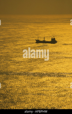 Containerschiff im Pazifik vor Arica bei Sonnenuntergang, Nordchile Stockfoto