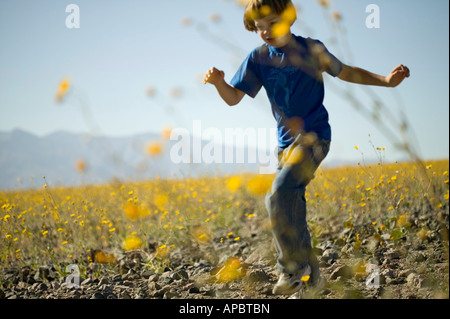 kleiner Junge läuft durch die Wüste Gold Granea Canescens Wüstenblume Death Valley Kalifornien USA Stockfoto