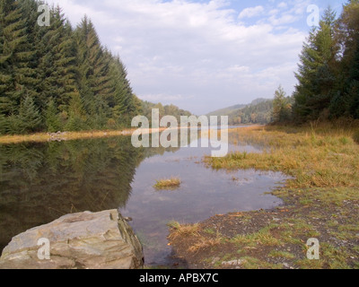 GWYNEDD NORTH WALES UK Oktober Suche entlang Llyn Parc im Gwydyr Wald Stockfoto