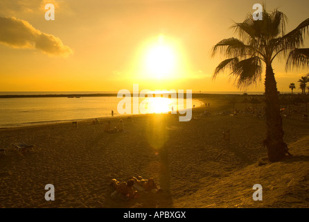 Sonnenuntergang über Playa de Camisón Strand in Playa de Las Américas/Los Cristianos, Teneriffa, Spanien Stockfoto