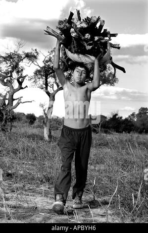 Jose (10 Jahre) sammeln von Feuerholz, Mercedes, Corrientes, Argentinien Stockfoto