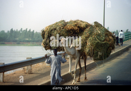 Kamel Kart große Ladung Stroh Kennedy Brücke über Fluß Niger Niamey Niger Westafrika Stockfoto