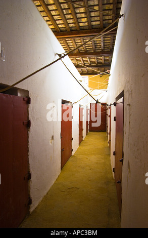 Ronda Bullring wurde 1572 von Felipe II. Gegründet. Calle Virgen de la Paz, 15, 29400 Ronda, Málaga, Spanien: Phillip Roberts Stockfoto