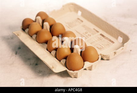 Eiern in eggbox Stockfoto