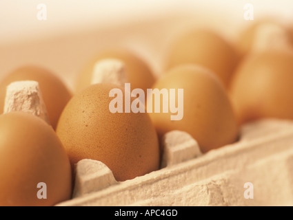 Eiern in eine Eggbox Stockfoto
