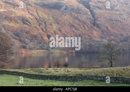 Blick nach Osten über Loch Lomond, in der Nähe von Inveruglass, Loch Lomond und Trossachs National Park, Schottland, Stockfoto