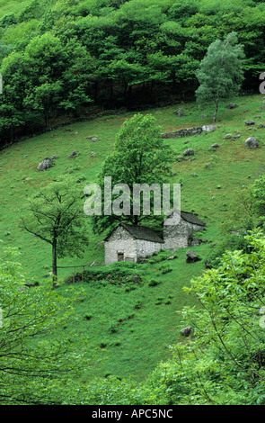 Zwei Hütten auf einer Almwiese in der Nähe von Vogorno im Verzasca-Tal Tessin Schweiz Stockfoto