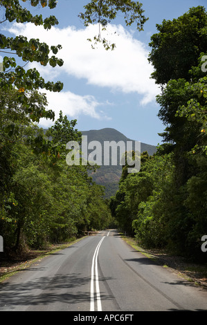 Straße durch Daintree Nationalpark World Heritage Area Nord-Queensland Australien Stockfoto