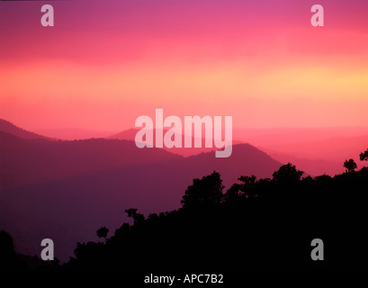 Sonnenuntergang, Silhouette Bäume; Moron De La Frontera; Spanien; Andalusien; Stockfoto