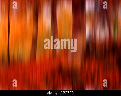 Unschärfe, Bewegung, Special, Effekt, Baum, Farbe, Geschwindigkeit, Konzept, schwenken, Natur, abstrakt, Illustration, Idee, malerische, künstlerische, künstlerisch, Stockfoto