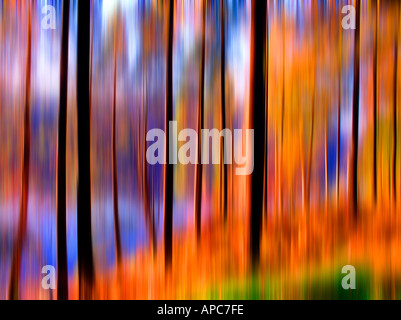 Unschärfe, Bewegung, Special, Effekt, Baum, Farbe, Geschwindigkeit, Konzept, schwenken, Natur, abstrakt, Illustration, Idee, malerische, künstlerische, künstlerisch, Stockfoto